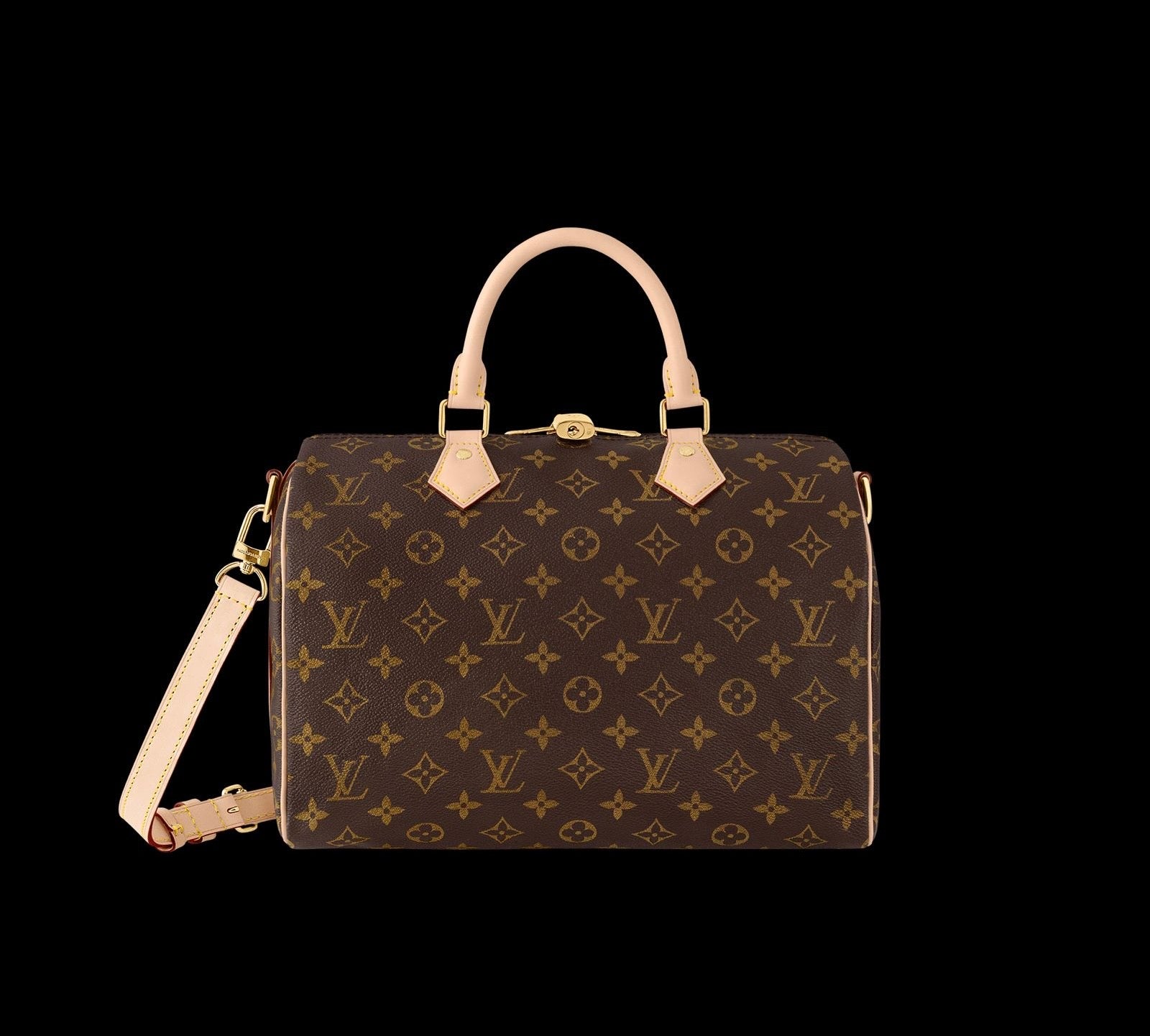 Is the LV Speedy Worth It?