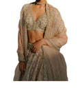 Lehenga With Dupatta And Blouse