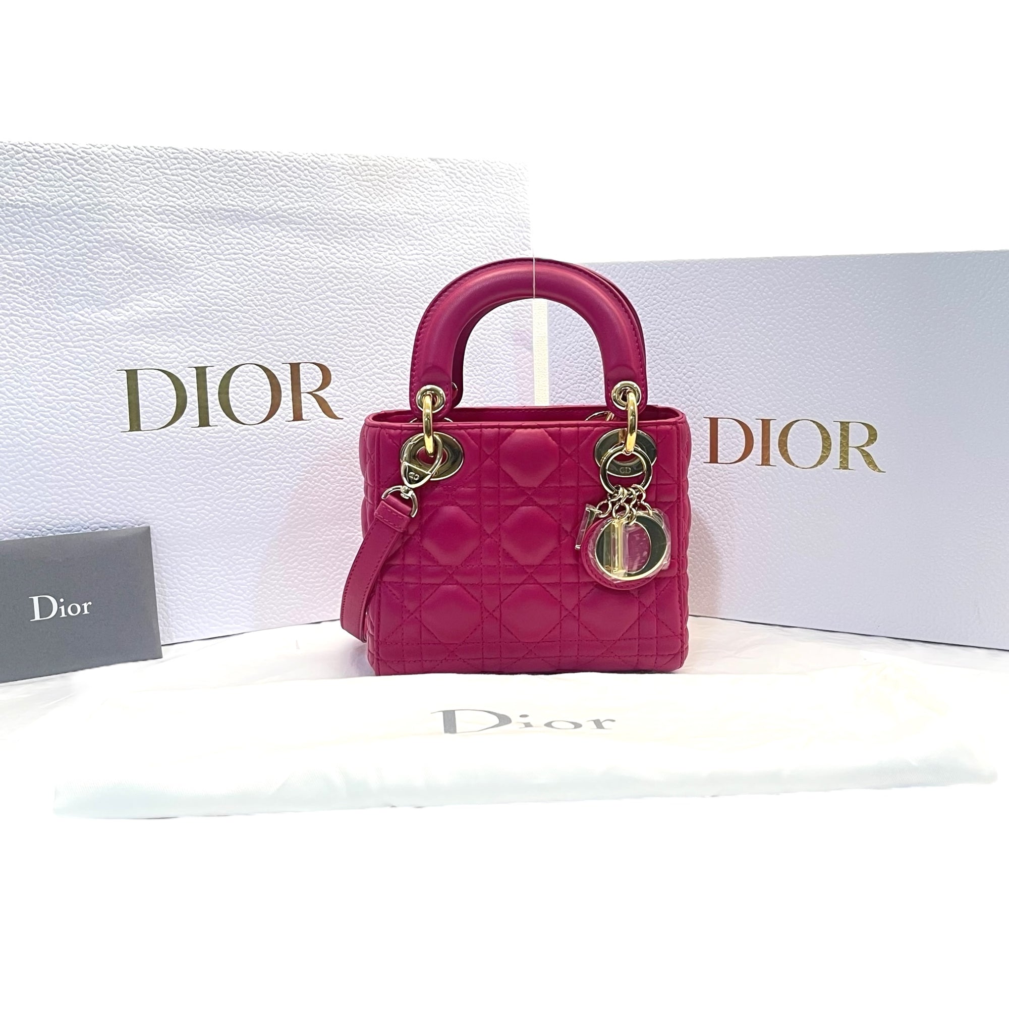 Lady Dior Pink Mini Bag