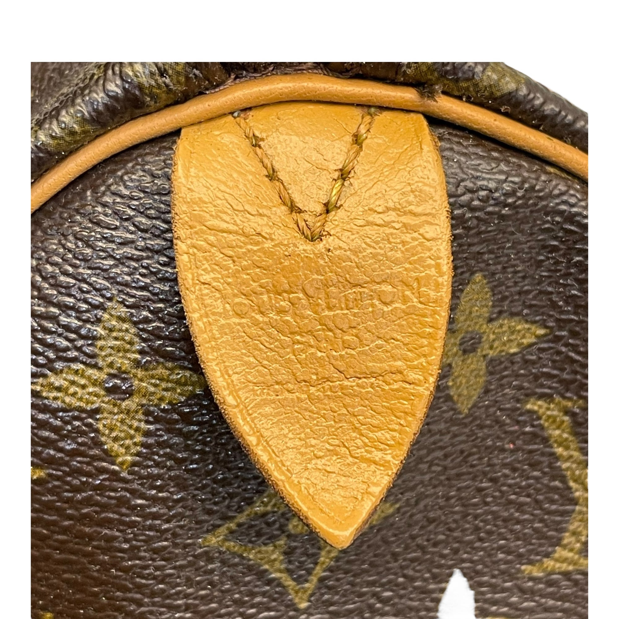 Louis Vuitton Speedy 25 monogram