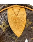 Louis Vuitton Speedy 25 monogram