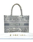 Dior Book Tote Small