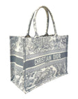 Dior Book Tote Small