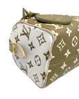 Louis Vuitton Speedy 20