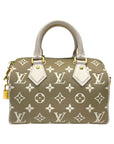 Louis Vuitton Speedy 20